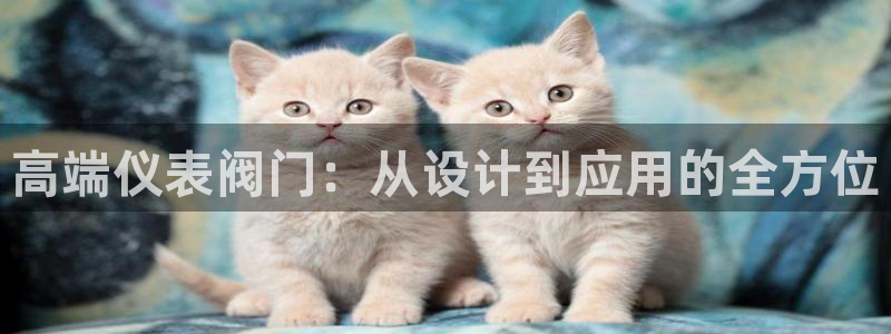 云顶国际测试服免费吗