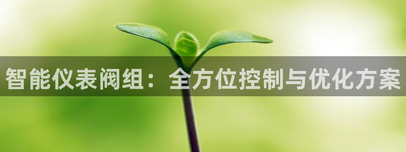 云顶国际游戏网址是什么