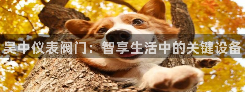 云顶国际培训中心地址