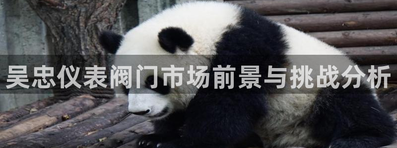云顶国际游戏平台有哪些