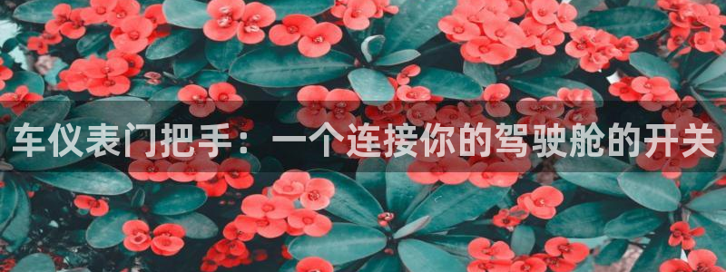 云顶国际贴吧