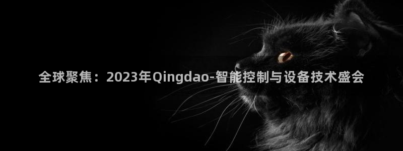 云顶集团林致华