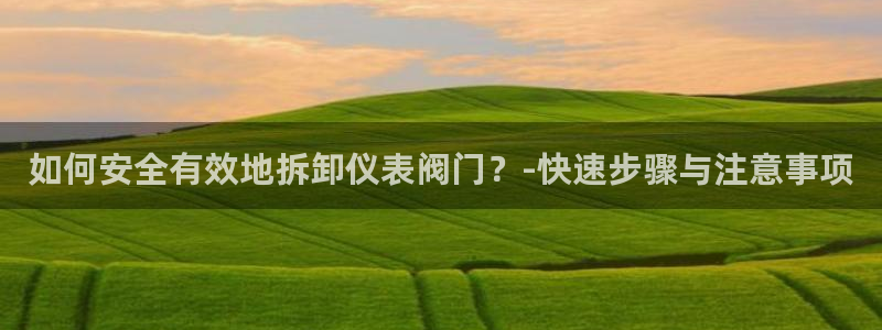 云顶集团中国区总裁