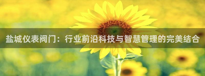 云顶国际是做什么的公司