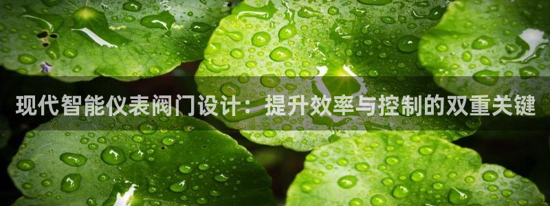 云顶国际官方网站入口