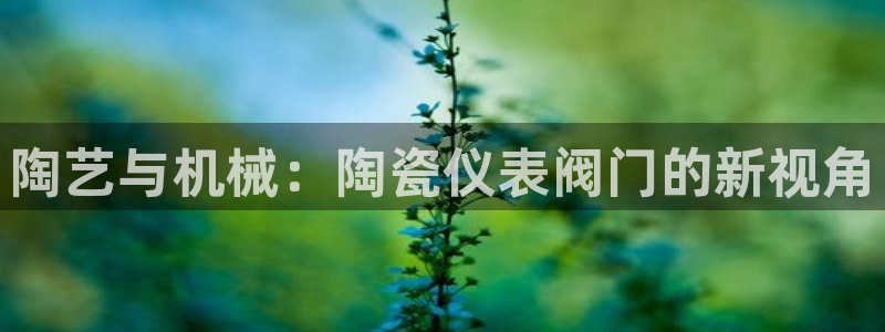 云顶网址攻略
