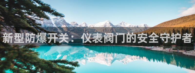 云顶集团网投领头