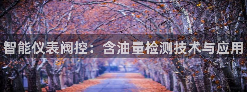 云顶国际是个什么网站