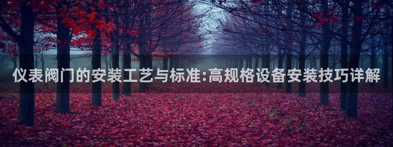 云顶国际商业广场可以充电动车吗