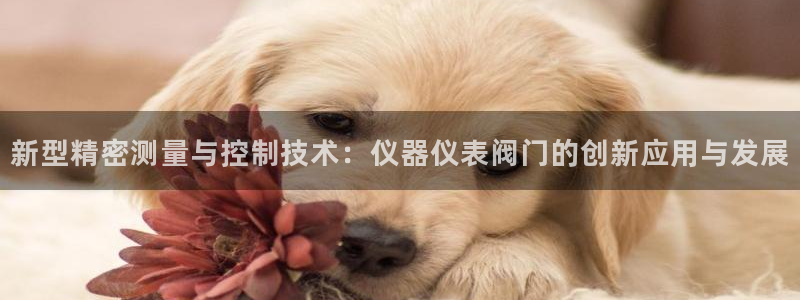 云顶国际ktv会所