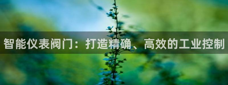 云顶网上官网