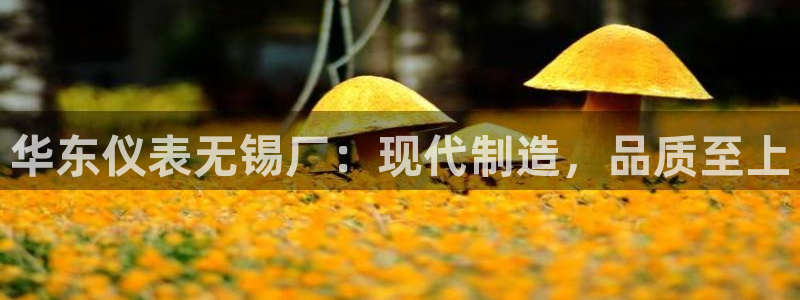 云顶国际俱乐部 淮北