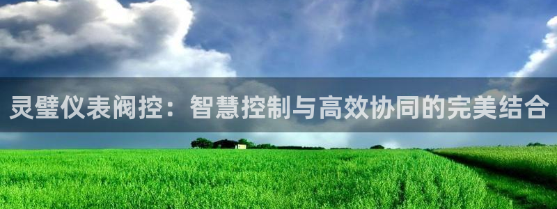 云顶国际服更新s11了吗