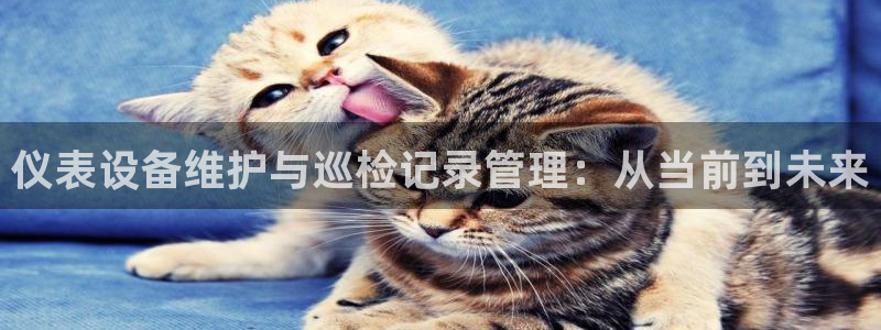 云顶国际区块链怎么样啊