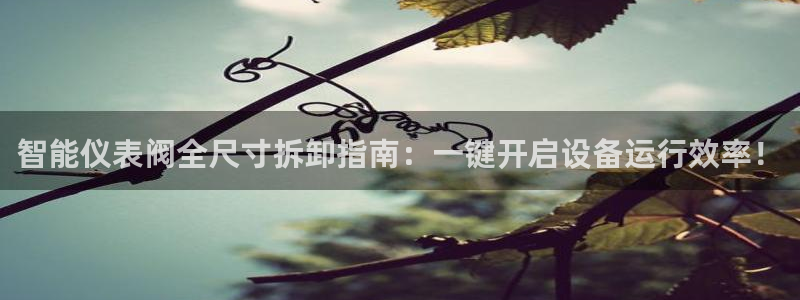云顶国际物流电话