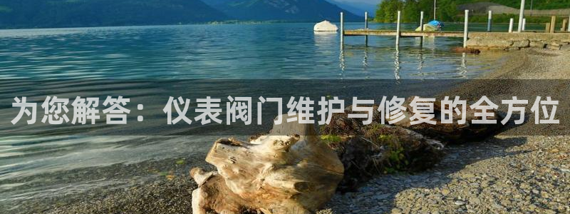 云顶国际大酒店是几星级