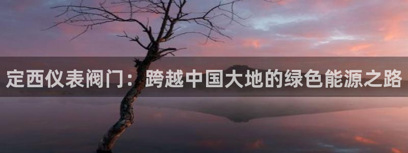 云顶国际服s10