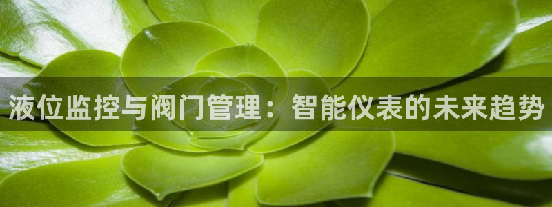 云顶国际公馆在哪个区