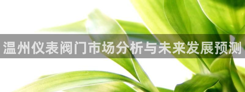 云顶集团董事长林东简历图片