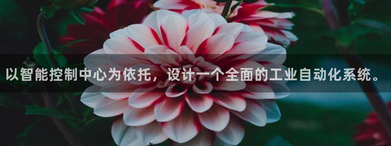 云顶国际服更新s11了吗