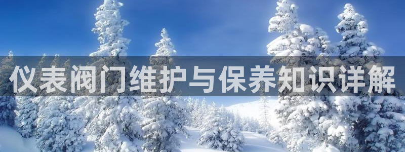 云顶国际ktv会所