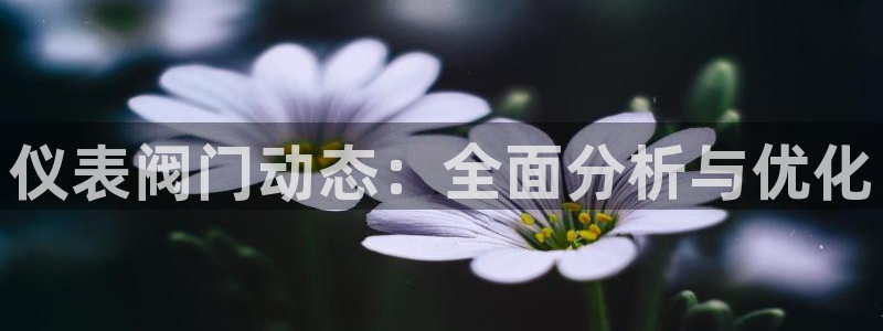云顶国际服s9