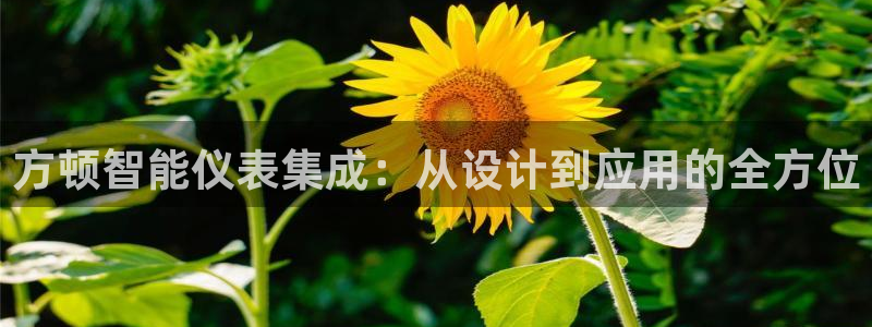 云顶集团公司电话