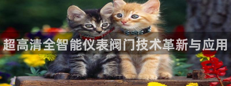云顶国际ktv会所