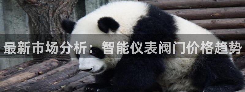 云顶国际高尔夫俱乐部怎么样
