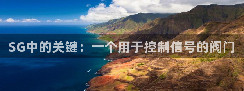 云顶国际取款多久到账户
