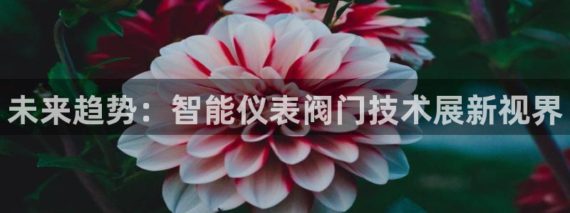 云顶国际足球app下载最新版
