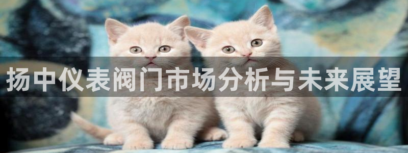 云顶国际服阵容