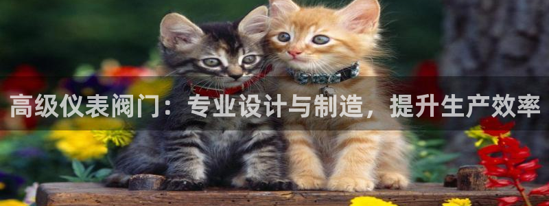 云顶集团林国泰