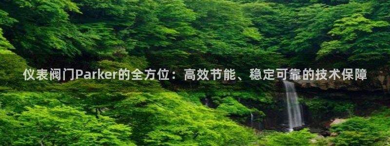 yoga云顶