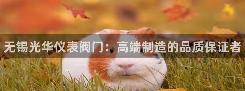 云顶集团官网电话号码