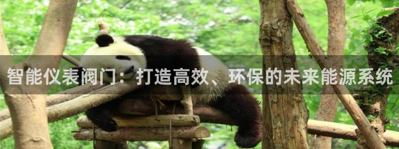 云顶国际装饰设计 宁波