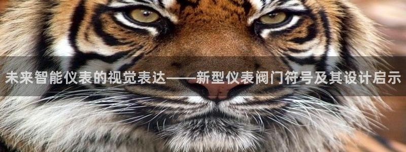 云顶国际游戏平台53m