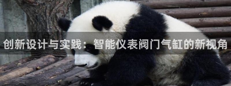 云顶国际服什么时候更新s108