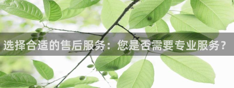 云顶国际app官方网站下载安装
