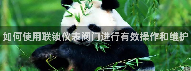 云顶国际俱乐部 淮北