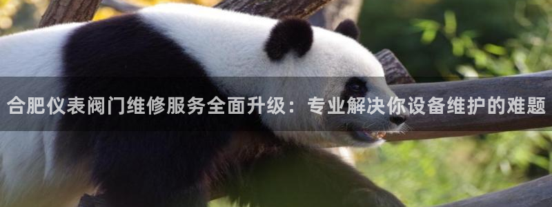 云顶国际提款不到账什么原因