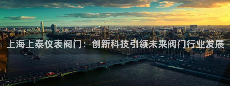 云顶国际公馆户型图