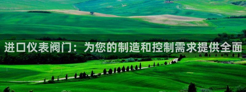 云顶集团有限公司简介地址