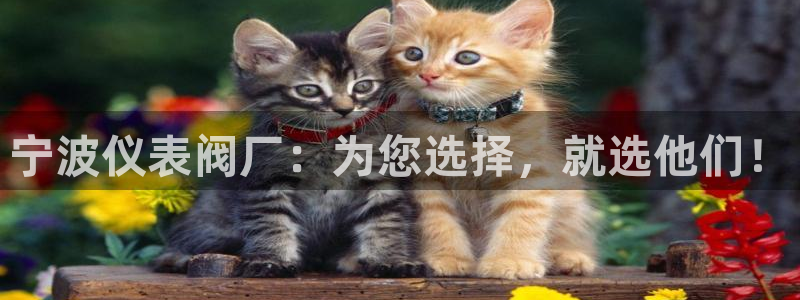 云顶国际俱乐部是干嘛的