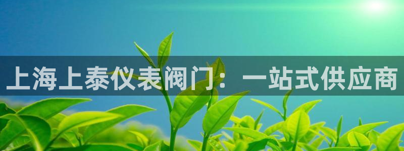 云顶国际足球app下载安卓