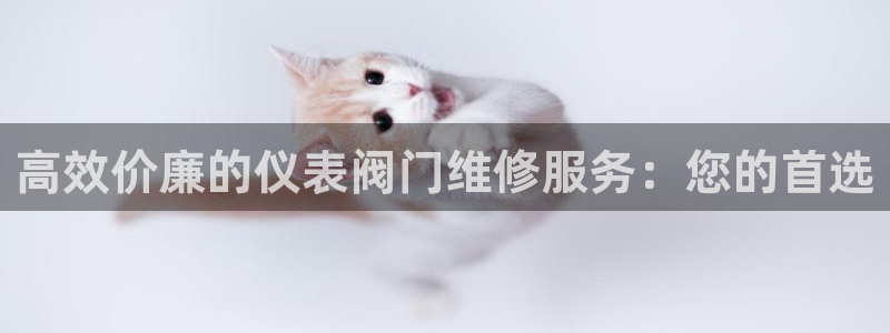 云顶国际版怎么下载