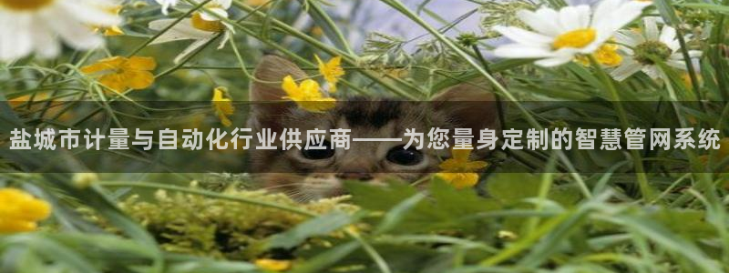 云顶国际登录不了怎么办