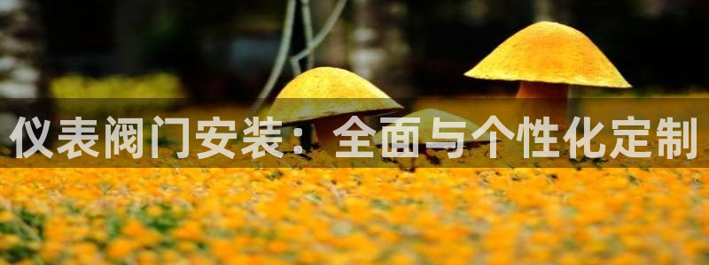 云顶国际软装公司怎么样知乎