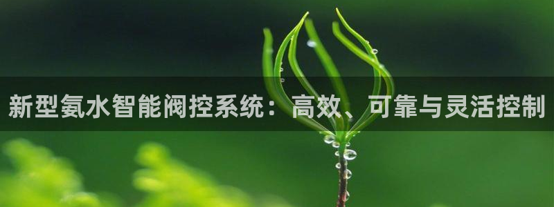 云顶国际公馆户型图