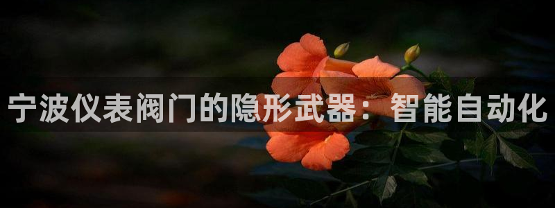 云顶国际平台网址多少